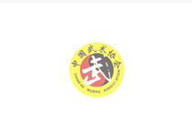 北京高端網站建設公司-中國武術協會